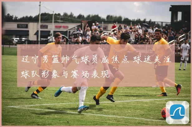 辽宁男篮帅气球员成焦点 球迷关注球队形象与赛场表现