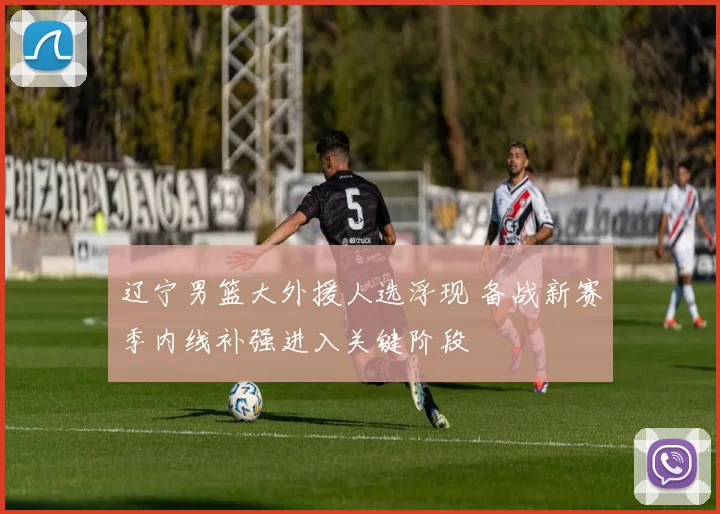 辽宁男篮大外援人选浮现 备战新赛季内线补强进入关键阶段