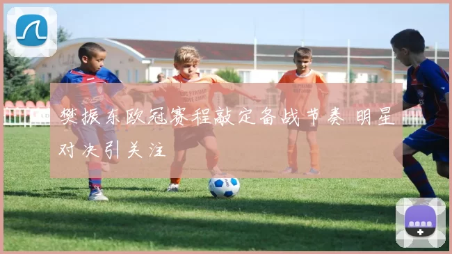 樊振东欧冠赛程敲定备战节奏 明星对决引关注