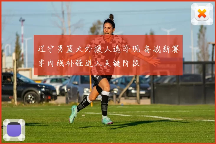 辽宁男篮大外援人选浮现 备战新赛季内线补强进入关键阶段