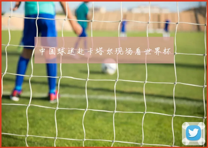 中国球迷赴卡塔尔现场看世界杯