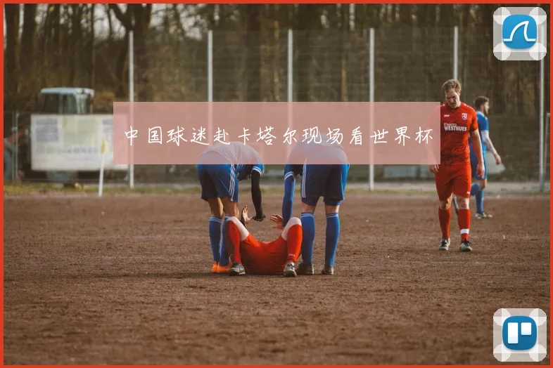 中国球迷赴卡塔尔现场看世界杯
