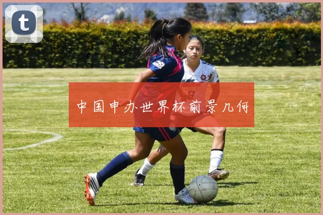 中国申办世界杯前景几何